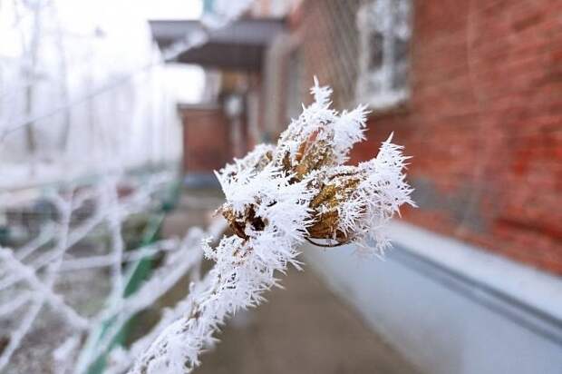 На Кубань надвигается непогода: ожидаются сильные дожди и снегопад