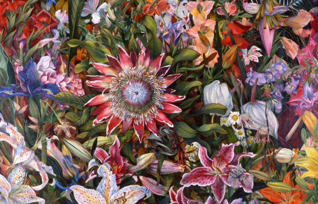 Цветочное поле. Автор: Judy Garfin.