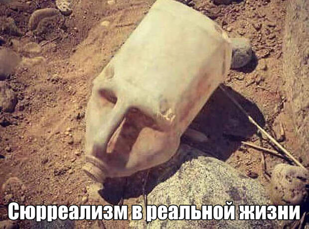 Подборка картинок. Вечерний выпуск (54 фото)