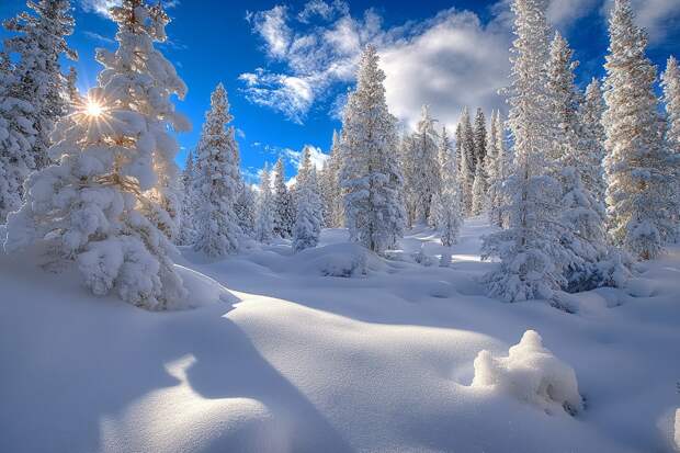 Как нужно провести 1 января, чтобы год был удачным
