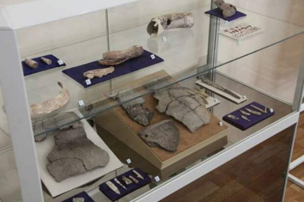 В Самарской области нашли древние останки людей негроидной