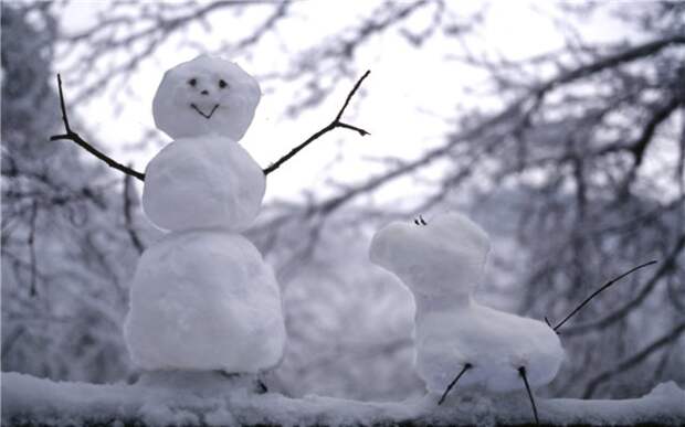 Снеговики, снежные бабы и не только (72 фото)