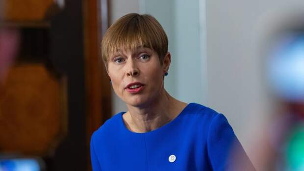 Депутат ГД призвал исключить Эстонию из ООН после слов ее президента о русском языке&nbsp;