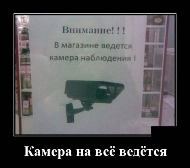Демотиваторы