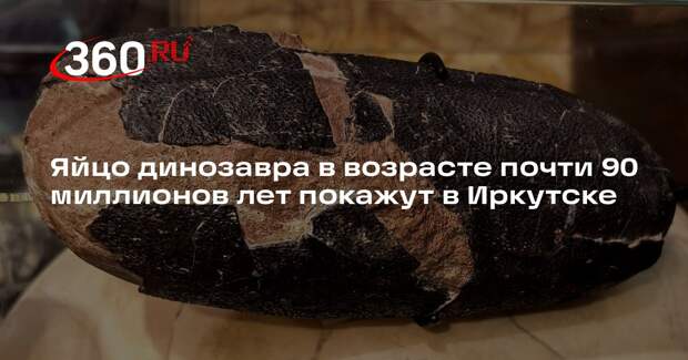 В коллекции Иркутского музея появилось яйцо овираптора, жившего 89 млн лет назад