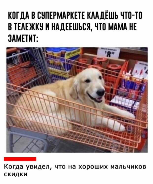 Подборка картинок (20 фото)