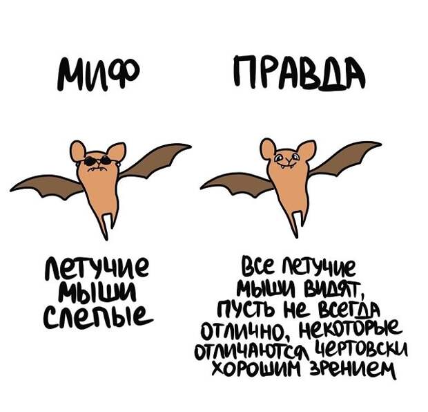 Любопытные коротенькие факты на все случаи жизни