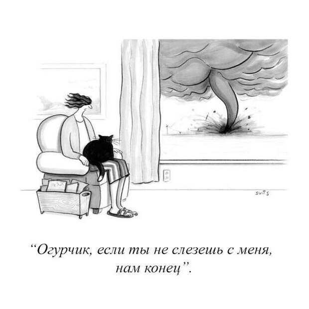 Всякая прикольная всячина, фото и картинки 50