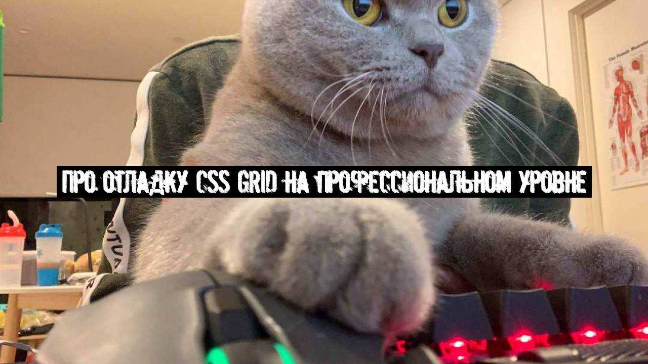 Про отладку CSS Grid на профессиональном уровне