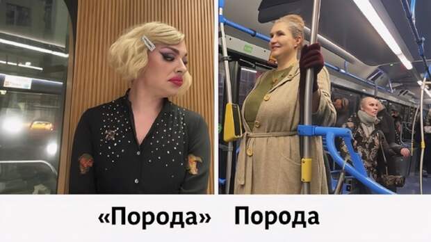 Москвабадцы против москвичей: кто есть кто на улицах столицы?