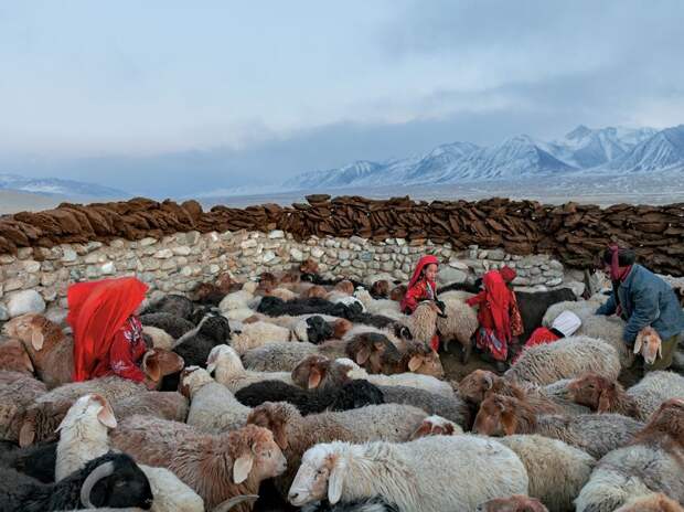 natgeowllpprs12 natgeowllpprs12 Обои для рабочего стола от National Geographic за апрель 2013