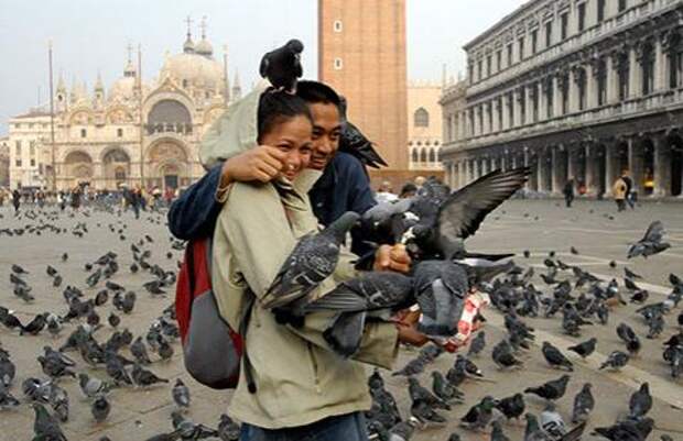 В Италии – законопроект Венеции запрещает давать еду голубям. Если кормить голубей в Венеции, то можно получить штраф в размере $600, однако если оплату произвести быстро, то она сократится к $50-60.
