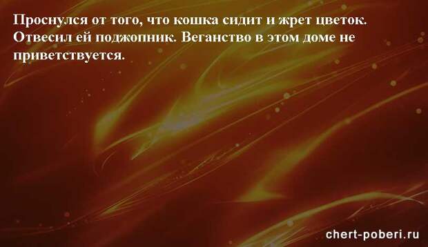 Самые смешные анекдоты ежедневная подборка chert-poberi-anekdoty-chert-poberi-anekdoty-05540603092020-11 картинка chert-poberi-anekdoty-05540603092020-11