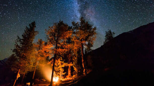 stars10-800x533