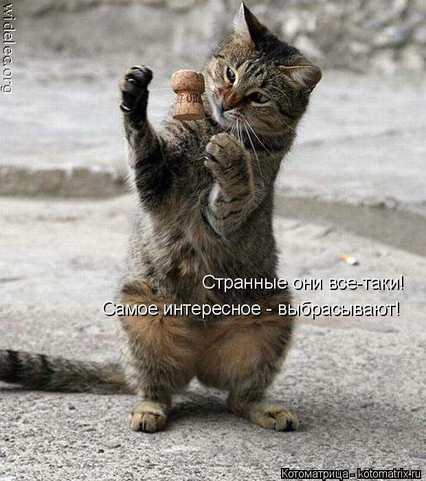 Похожее изображение