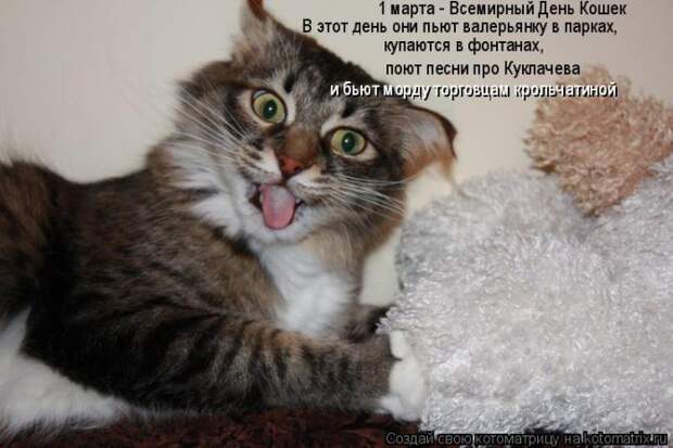 Мысли вслух :)