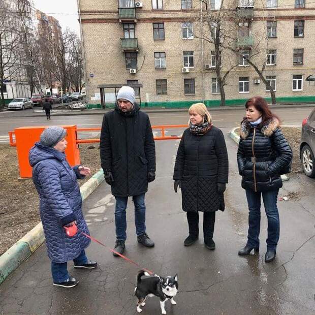 Фото предоставлено управой