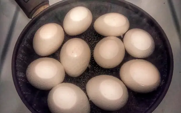 Яйца быстро жарятся в сковороде. / Фото: kto-chto-gde.ru