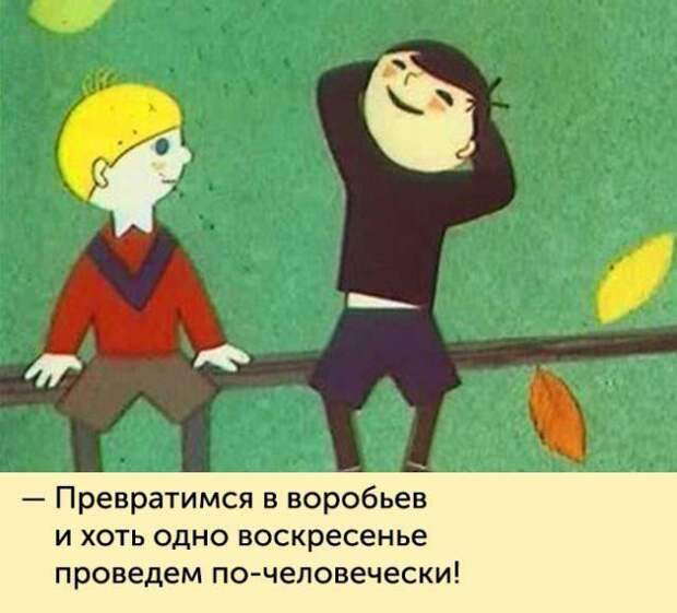 Фразы из детских мультфильмов СССР, мультфильмы, фразы