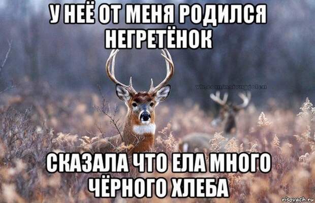 Анекдоты и прикольные картинки