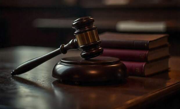 50 лет лишения свободы на двоих за серию особо тяжких преступлений: прокуратура Могилевской области поддержала гособвинение в...