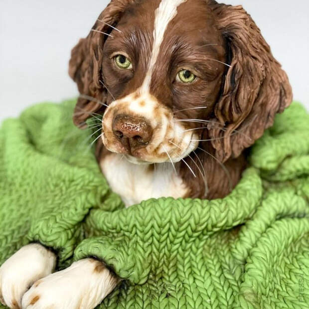 1615540290_pressa_tv_d6aa50af-9a7c-4256-9049-3acef7a9eb47 (700x700, 318Kb)