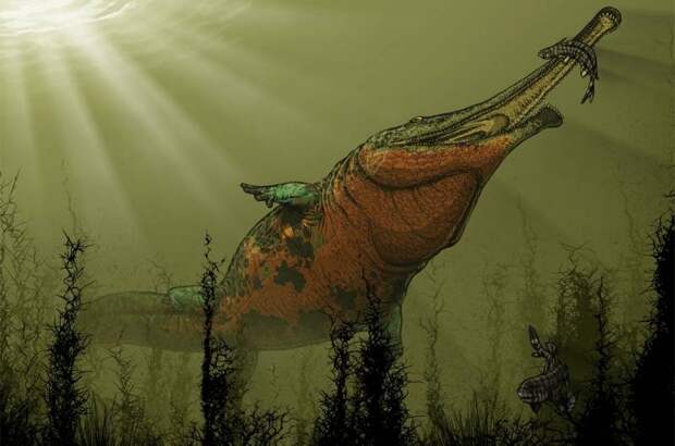 Платиопозавр  (лат. Platyoposaurus) 