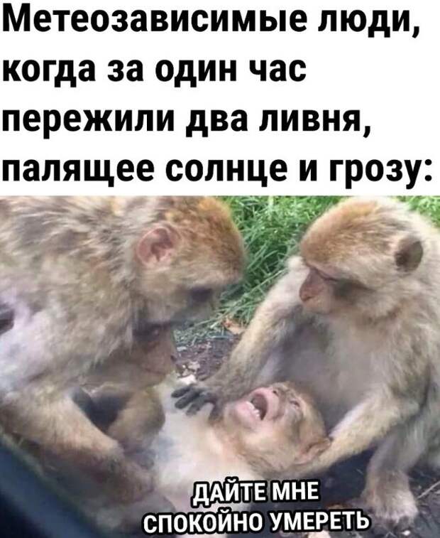 смешные картинки и мемы