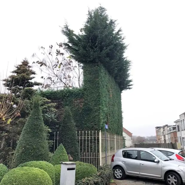 19 впечатляющих снимков из Бельгии, после которых вы влюбитесь в эту страну по уши