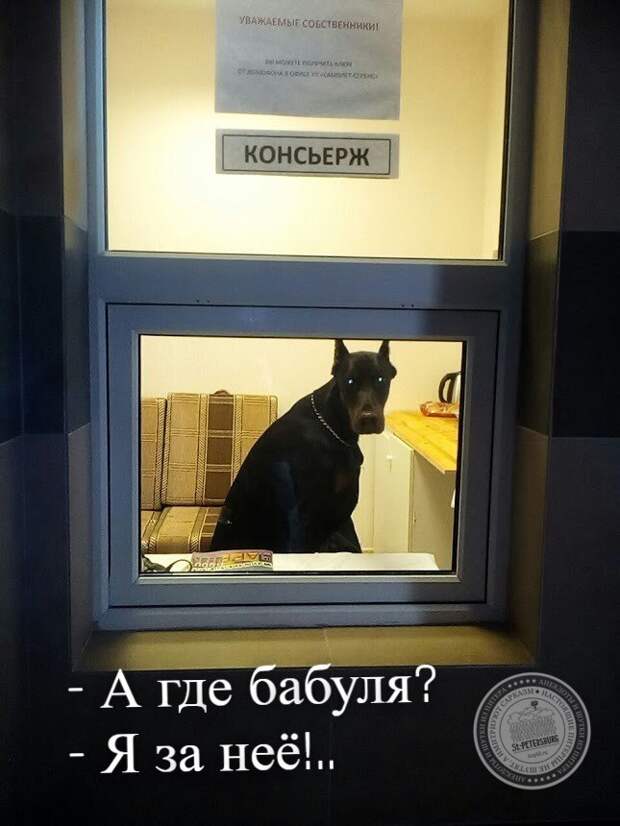 А где бабуля