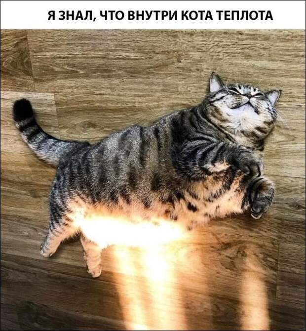 Фотоподборка