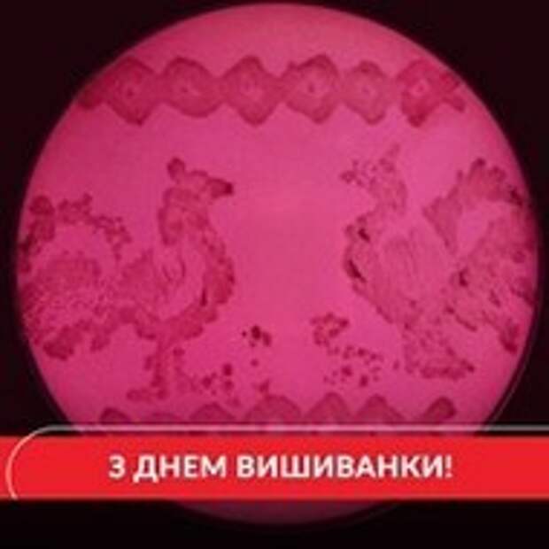 день вышиванки