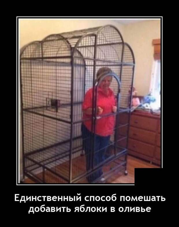 Демотиваторы 4 января 2022 года