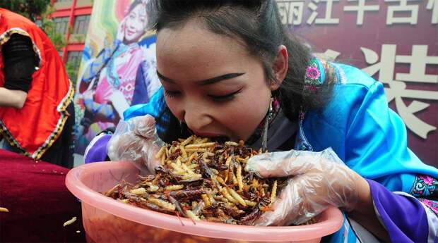 Съешь, если сможешь: конкурс по поеданию насекомых в Китае
