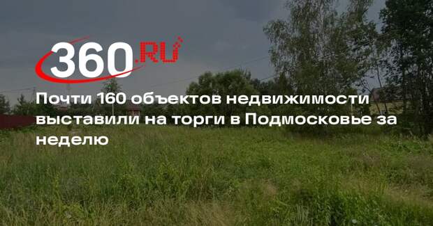 Почти 160 объектов недвижимости выставили на торги в Подмосковье за неделю