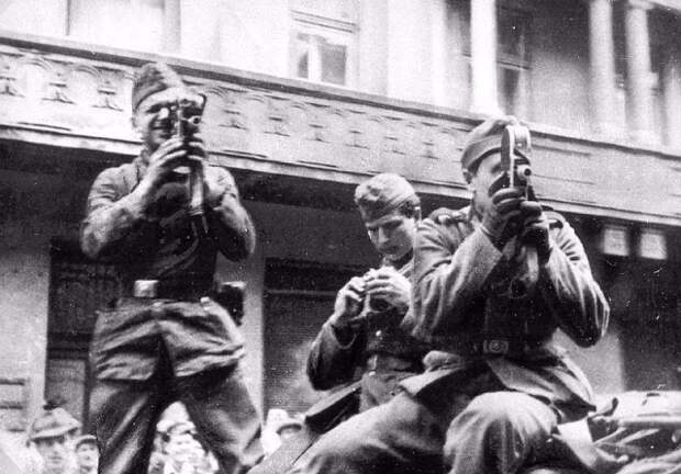 30 шокирующих фотографий львовских погромов 1941 года