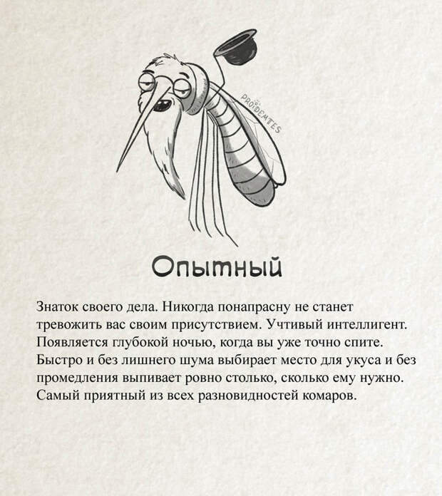 Классификация комаров Proidemtes, Комары, Юмор, Длиннопост, Насекомые