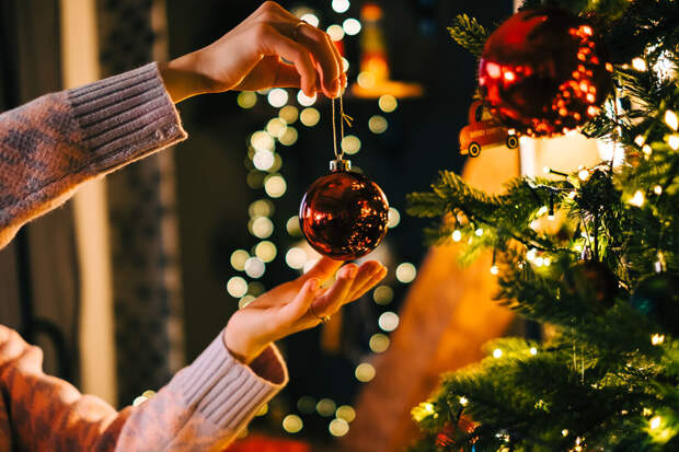 Замглавы Минстроя Ересько ответил на предложение о штрафах за елки в подъездах