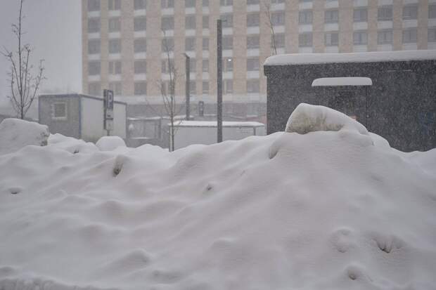 Назван регион-лидер в центре России по высоте сугробов