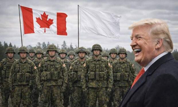 Смеялись все: армия Канады провела «партизанские» учения по отражению вторжения американских войск