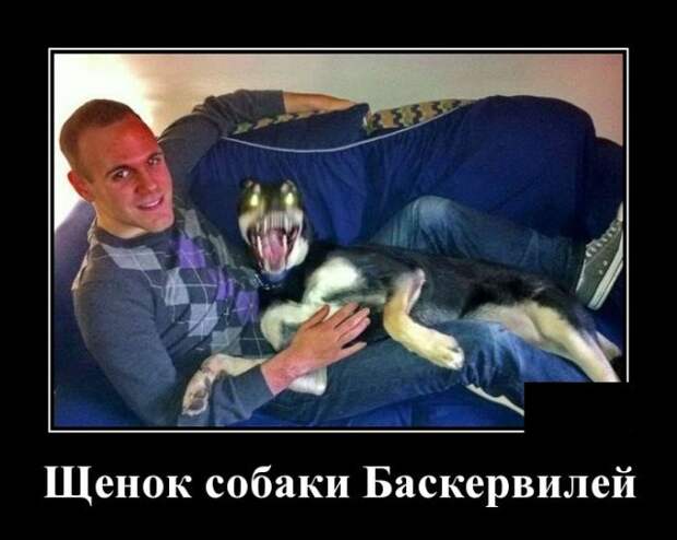 Демотиватор про собаку