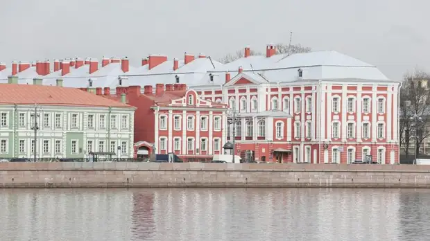 СПбГУ подвёл итоги проверки высказываний своего преподавателя