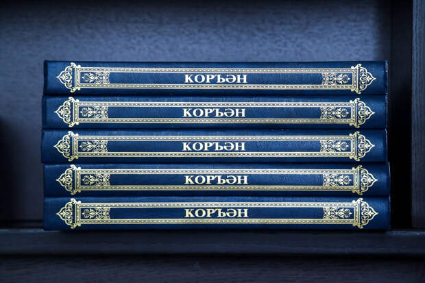 Марсель хәзрәт Кәримов: «Изге Коръәндә кеше эмбрионының үсеш дәверләре аңлатыла»