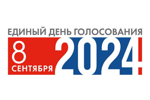Памфилова считает паранойей жалобу на логотип Единого дня голосования