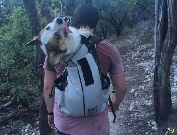 Прикольные картинки - 1899