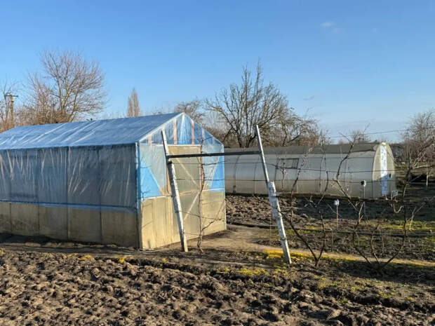 Высыпал миску этой крупы на сугроб в феврале — соседи крутили у виска, а в мае пришли за рецептом: земля теперь рыхлее облака