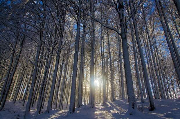 gorgeous-winter-landscapes-16.jpg