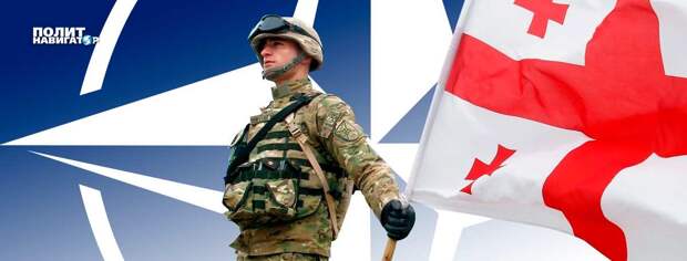 Грузия делает последние шаги на пути к вступлению в НАТО