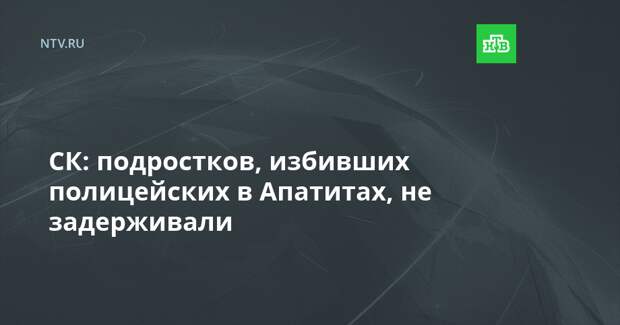 СК: подростков, избивших полицейских в Апатитах, не задерживали