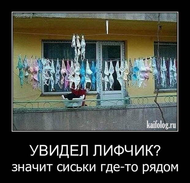 Демотиваторы - 167 (50 фото)